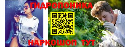 СК Кингисепп