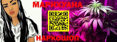 СК Кингисепп