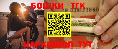 СК Кингисепп