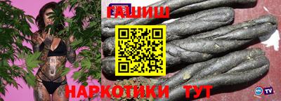 СК Кингисепп