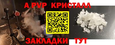 СК Кингисепп