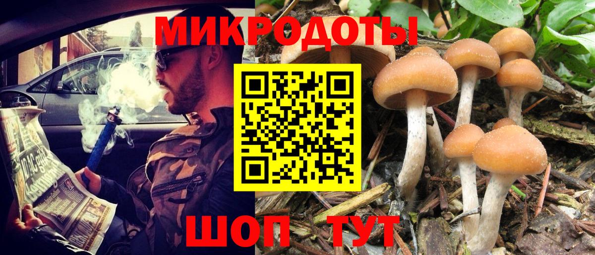 Псилоцибиновые грибы Magic Shrooms Мончегорск