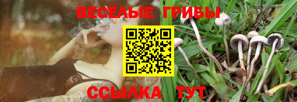 Галлюциногенные грибы MAGIC MUSHROOMS  Вход с VPN  Мончегорск  Псилоцибиновые грибы Cubensis 